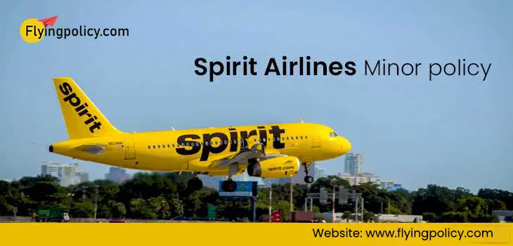 United Airlines Minor Policy | airlinesticketpolicy