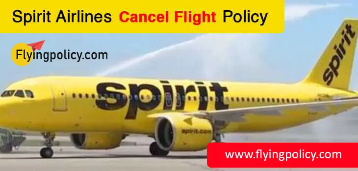 Spirit Airlines Cancel Flight Policy | airlinesticketpolicy