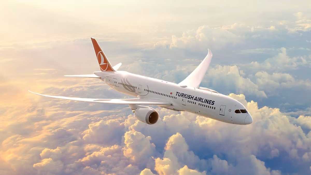 How to check in Turkish Airlines: Complete Guide with Process