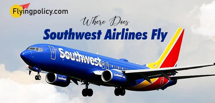 Where Does Southwest Airlines Fly?