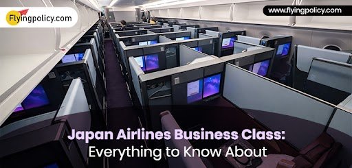 Japan Airlines Business Class Everything to Know About