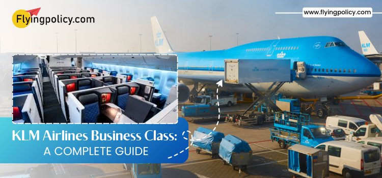 KLM Airlines Business Class: A Complete Guide